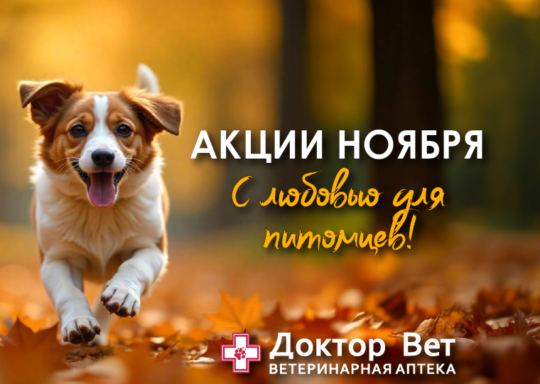 Акция Доктор Вет